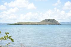 DSC_0342-min